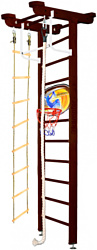 Kampfer Little Sport Ceiling Basketball Shield Высота 3 (шоколадный)