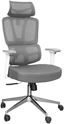 Кресло SitUp Palma White Chrome (сетка Grey/Grey) Кресло SitUp Palma White Chrome (сетка Grey/Grey)