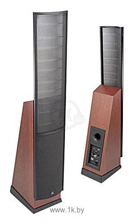 Фотографии Martin Logan Purity