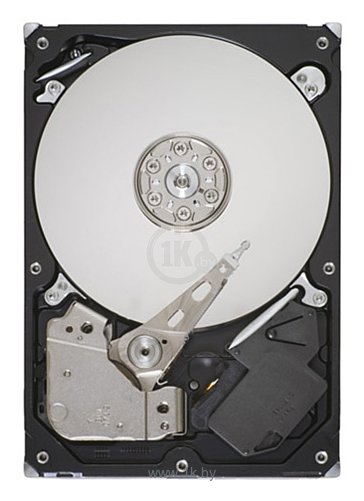 Фотографии Seagate ST31000528AS