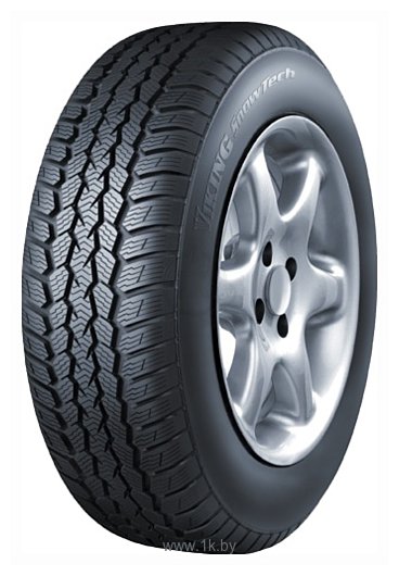 Фотографии Viking SnowTech 205/50 R17 93H