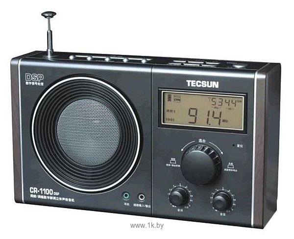 Фотографии Tecsun CR-1100DSP