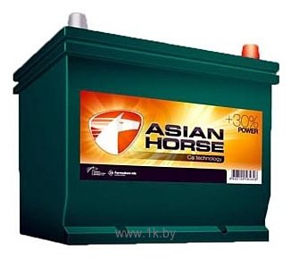 Фотографии Asian Horse 95 JL (95Ah)