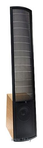 Фотографии Martin Logan Vantage