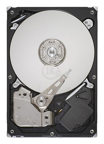 Фотографии Seagate ST3500413AS