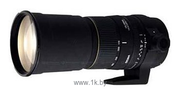 Фотографии Sigma AF 170-500mm F5-6.3 ASPHERICAL RF APO DG Canon EF