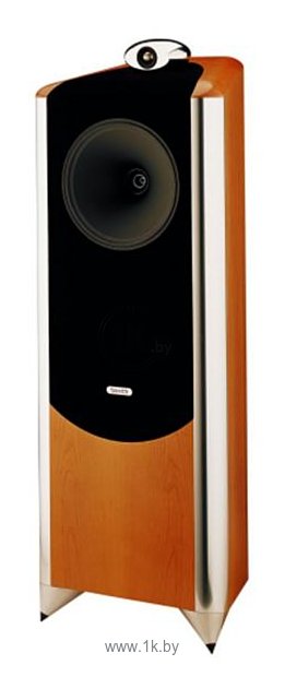 Фотографии Tannoy TD12