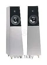 Фотографии Verity Audio Tamino x2 Фотографии Verity Audio Tamino x2