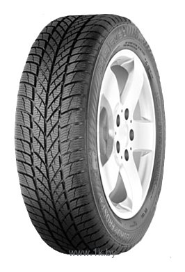 Фотографии Gislaved EURO*FROST 5 175/70 R13 82T