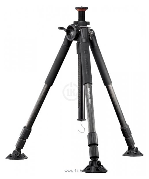 Фотографии Vanguard Auctus Plus 323CT