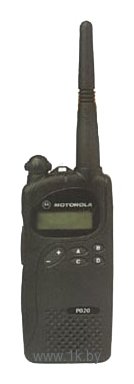Фотографии Motorola P020