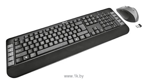 Фотографии Trust Tecla Wireless Multimedia Keyboard & Mouse black-Silver USB