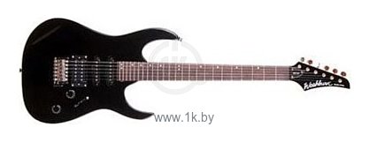 Фотографии Washburn WR120