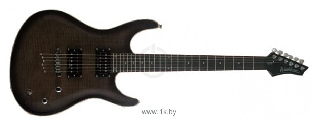 Фотографии Washburn RX50