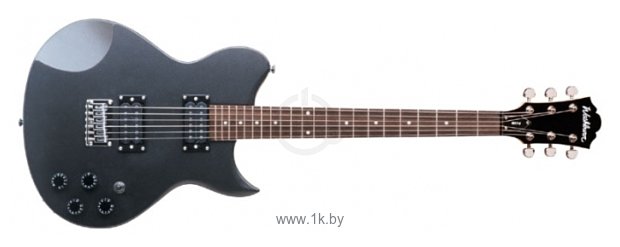 Фотографии Washburn WI14