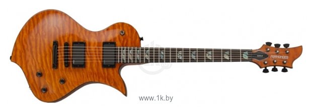 Фотографии Fernandes Guitars Ravelle Deluxe