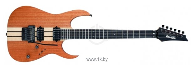 Фотографии Ibanez RGT220H