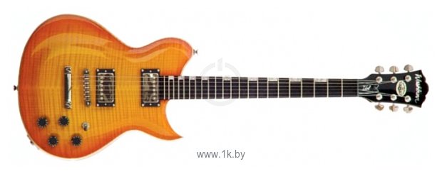 Фотографии Washburn WI568