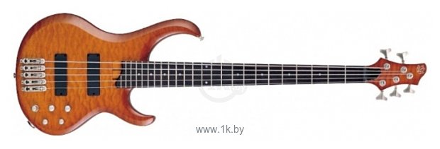 Фотографии Ibanez BTB405QM