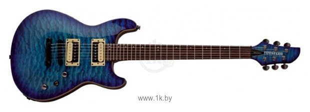 Фотографии Fernandes Guitars Dragonfly Standard