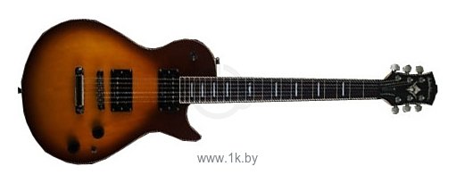 Фотографии Washburn WMIPRO