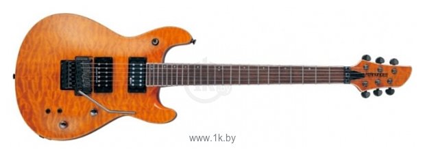 Фотографии Fernandes Guitars APG-85S
