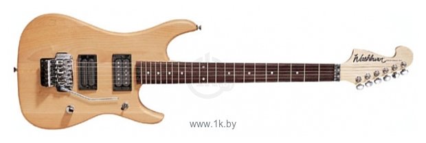 Фотографии Washburn N4B