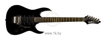 Фотографии Washburn WR154