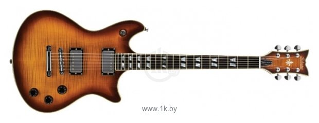 Фотографии Schecter Tempest Custom