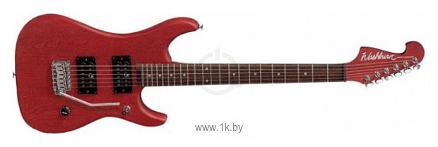 Фотографии Washburn N1