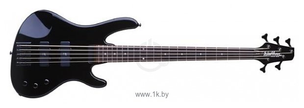 Фотографии Washburn XB125