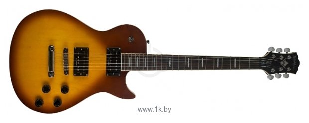 Фотографии Washburn WINSTD