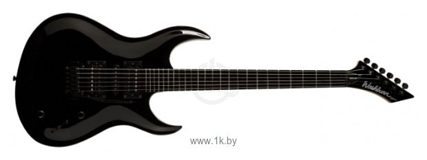 Фотографии Washburn WM10