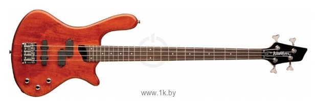 Фотографии Washburn T14