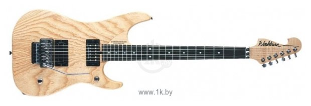 Фотографии Washburn N4ESA