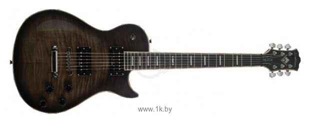 Фотографии Washburn WINDLX