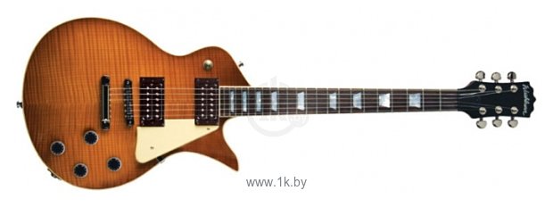 Фотографии Washburn PS7000