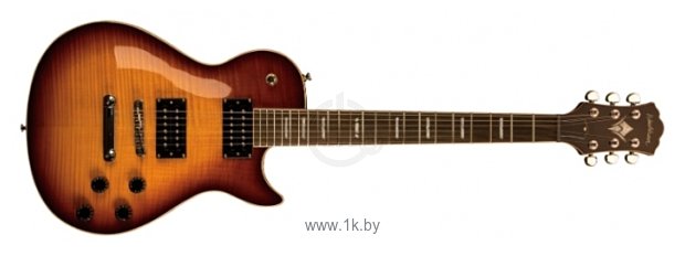 Фотографии Washburn WINPRO