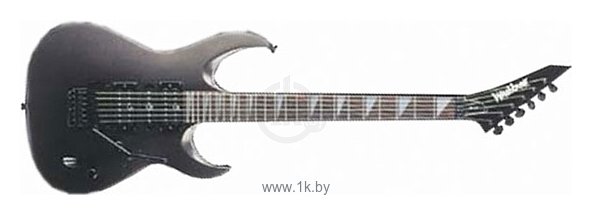 Фотографии Washburn RS980