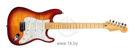 Фотографии Fender Custom Shop TB Limited Russian Stratocaster