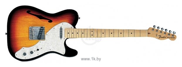 Фотографии Fender Classic Series '69 Telecaster Thinline