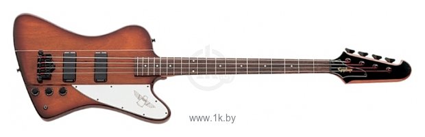 Фотографии Epiphone Thunderbird IV