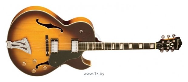 washburn guitars case evaluation washburn guitars case evaluation