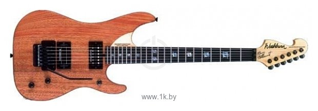 Фотографии Washburn N4EMNM