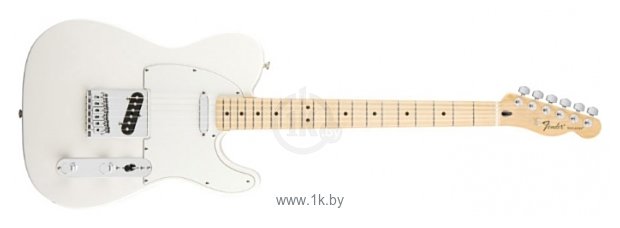 Фотографии Fender Standard Telecaster