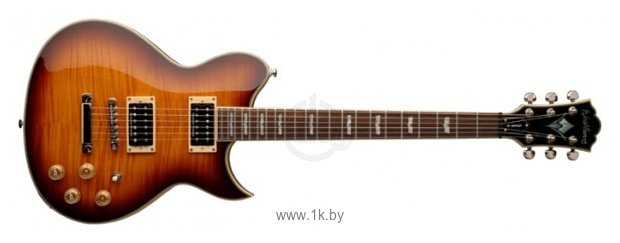 Фотографии Washburn WI66PRO