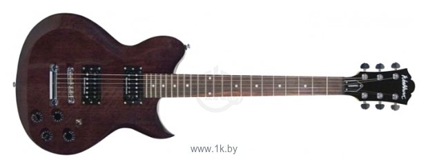 Фотографии Washburn WI200PRO