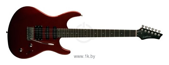 Фотографии Washburn RX10