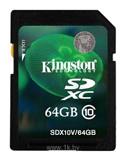 Фотографии Kingston SDX10V/64GB