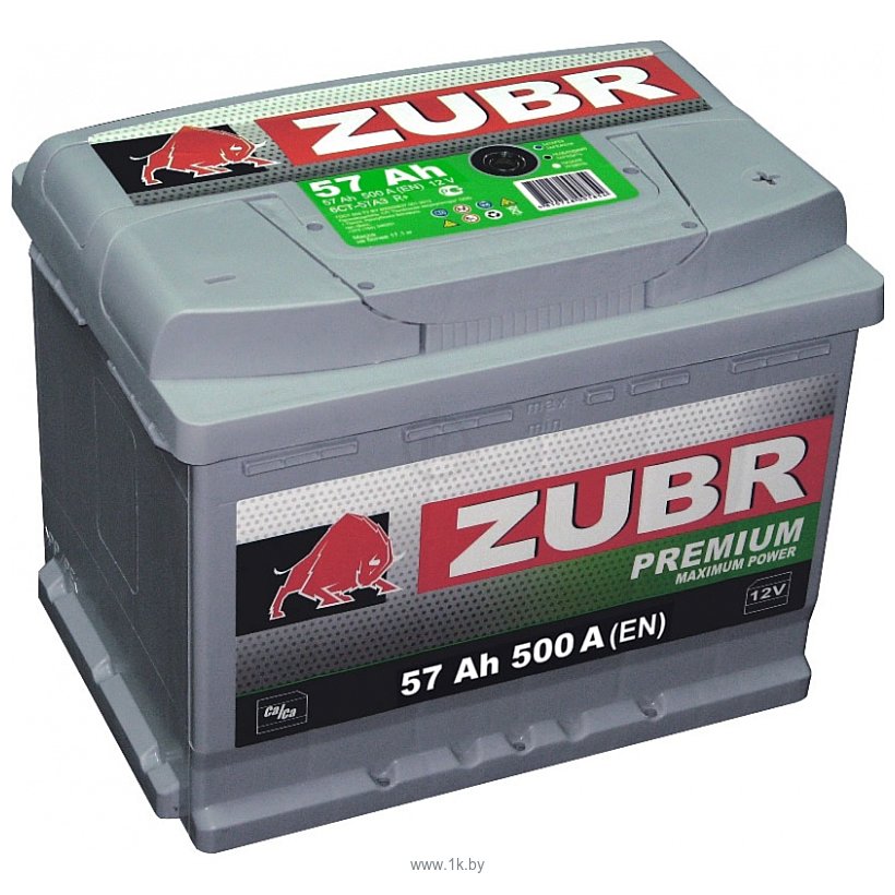 Фотографии Zubr Premium R+ (57Ah)